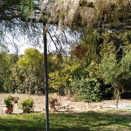 La Escuela Arcos de la Frontera